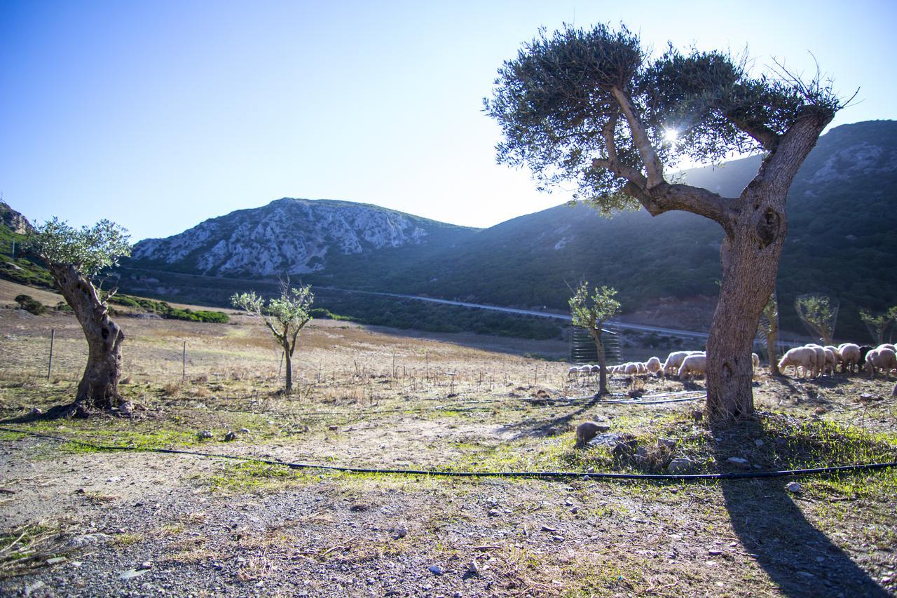Agriturismo Sa Rocca Iglesias Buitenkant foto